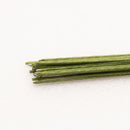 20 PCSwire(green)