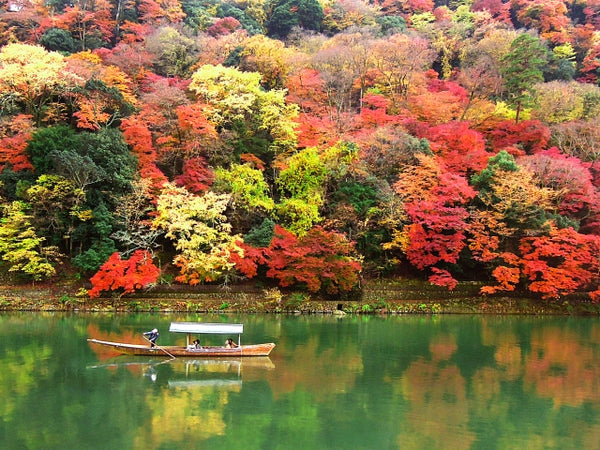 Momijigari(autumnal-leaf viewing) in Japan