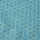 Large size 70cm( 27.50"): Reversible two sided/double sided Furoshiki Japanese Traditional Polyester Cloth Green AsanohaXRed Active Restock requests: 0